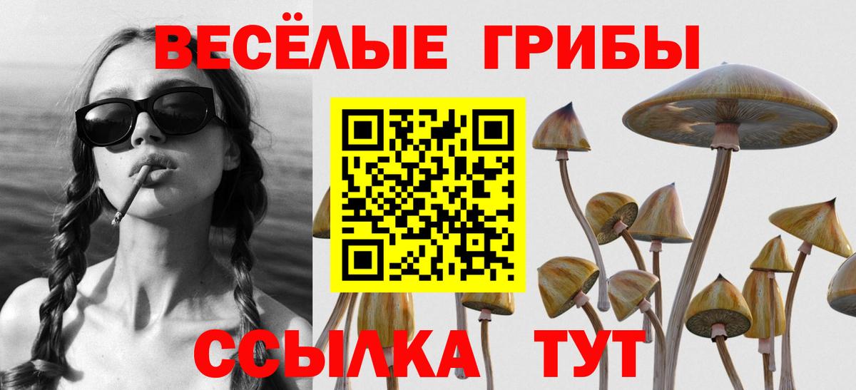 Псилоцибиновые грибы Cubensis Чистополь