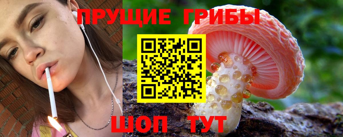 купить наркотики цена  Псилоцибиновые грибы Psilocybine cubensis  Чистополь  Вход с VPN  Псилоцибиновые грибы мухоморы 